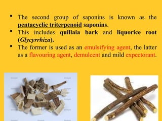  The second group of saponins is known as the
pentacyclic triterpenoid saponins.
 This includes quillaia bark and liquorice root
(Glycyrrhiza).
 The former is used as an emulsifying agent, the latter
as a flavouring agent, demulcent and mild expectorant.
 