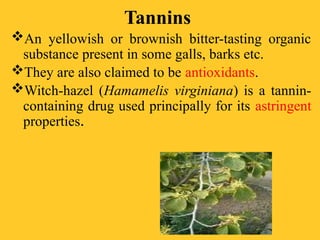 Tannins
An yellowish or brownish bitter-tasting organic
substance present in some galls, barks etc.
They are also claimed to be antioxidants.
Witch-hazel (Hamamelis virginiana) is a tannin-
containing drug used principally for its astringent
properties.
 