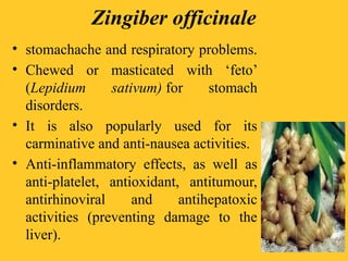 Zingiber officinale
• stomachache and respiratory problems.
• Chewed or masticated with ‘feto’
(Lepidium sativum) for stomach
disorders.
• It is also popularly used for its
carminative and anti-nausea activities.
• Anti-inflammatory effects, as well as
anti-platelet, antioxidant, antitumour,
antirhinoviral and antihepatoxic
activities (preventing damage to the
liver).
 