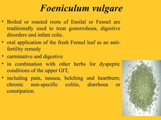 Foeniculum vulgare
• Boiled or roasted roots of Ensilal or Fennel are
traditionally used to treat gonorrohoea, digestive
disorders and infant colic.
• oral application of the fresh Fennel leaf as an anti-
fertility remedy
• carminative and digestive
• in combination with other herbs for dyspeptic
conditions of the upper GIT,
• including pain, nausea, belching and heartburn;
chronic non-specific colitis, diarrhoea or
constipation.
 