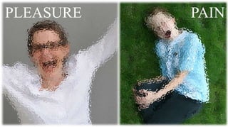 PLEASURE   PAIN
 