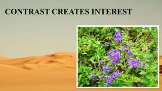 CONTRAST CREATES INTEREST
 