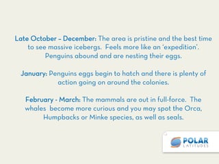 Late October – December: The area is pristine and the best time
to see massive icebergs. Feels more like an ‘expedition’.
Penguins abound and are nesting their eggs.

January: Penguins eggs begin to hatch and there is plenty of
action going on around the colonies.

February - March: The mammals are out in full-force. The
whales become more curious and you may spot the Orca,
Humpbacks or Minke species, as well as seals.
 