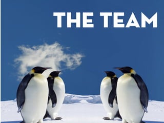 The Team
 
