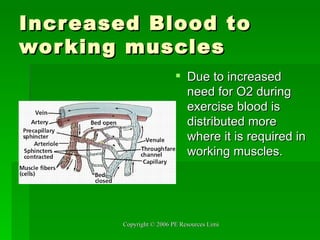 Increased Blood to working muscles Due to increased need for O2 during exercise blood is distributed more where it is required in working muscles.  