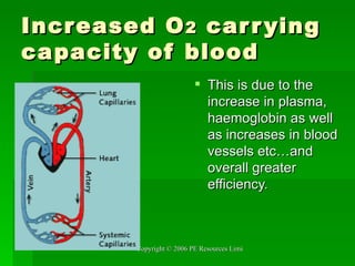 Increased O 2  carrying capacity of blood This is due to the increase in plasma, haemoglobin as well as increases in blood vessels etc…and overall greater efficiency. 