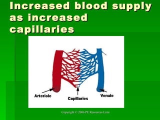 Increased blood supply as increased capillaries 