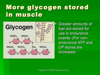 More glycogen stored in muscle Greater amounts of fuel are stored for use in endurance events. (For non-endurance ATP and CP stores are increased. 