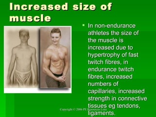 Increased size of muscle In non-endurance athletes the size of the muscle is increased due to hypertrophy of fast twitch fibres, in endurance twitch fibres, increased numbers of capillaries, increased strength in connective tissues eg tendons, ligaments. 