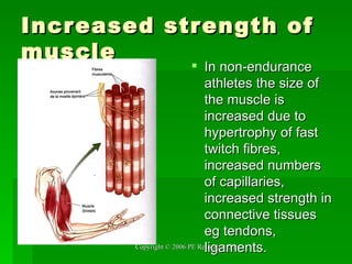Increased strength of muscle In non-endurance athletes the size of the muscle is increased due to hypertrophy of fast twitch fibres, increased numbers of capillaries, increased strength in connective tissues eg tendons, ligaments. 
