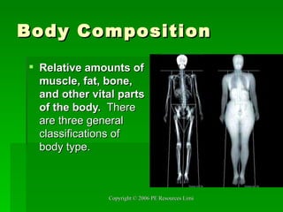 Body Composition Relative amounts of muscle, fat, bone, and other vital parts of the body.   There are three general classifications of body type.  