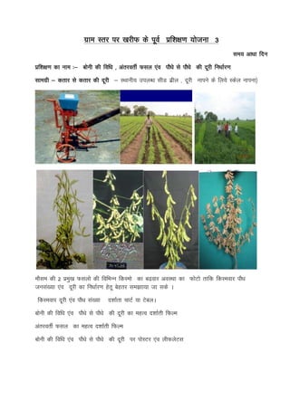 Training procedure at field level | PDF