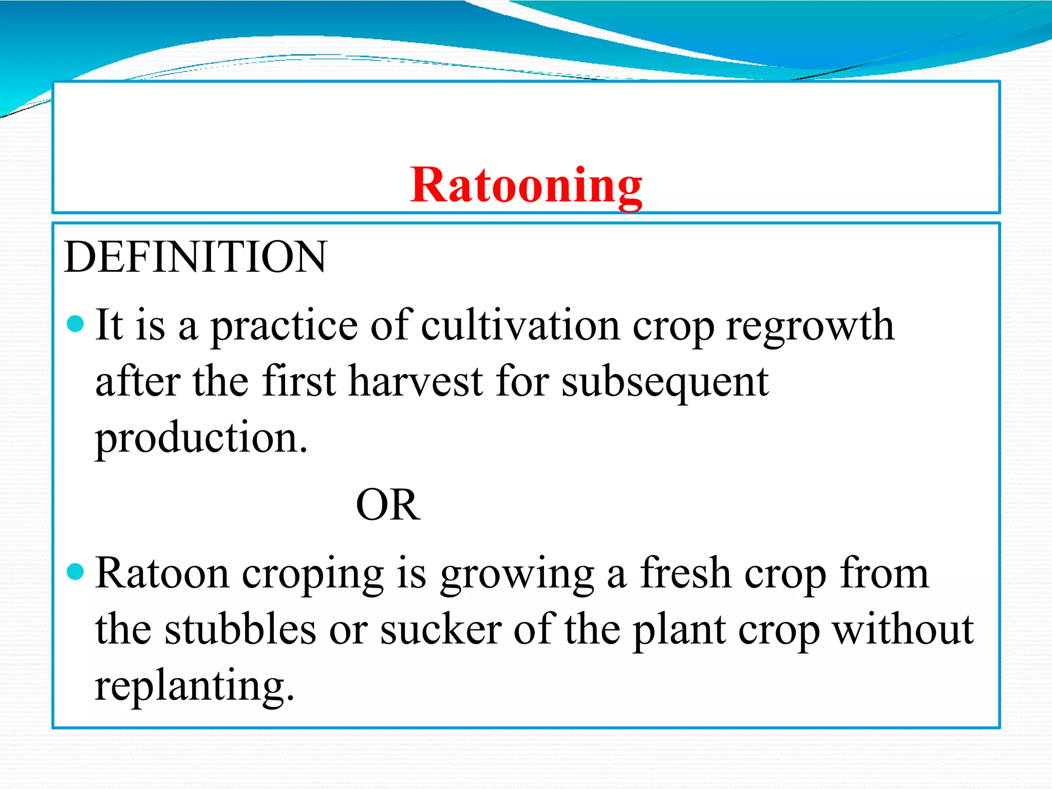 Training, Pruning, Staking.pptx