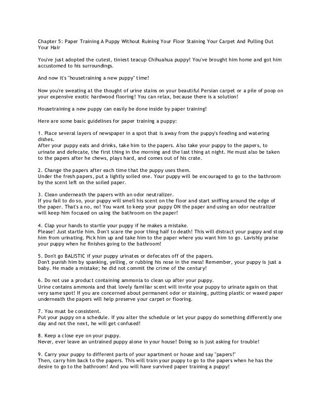 Puppy Training Basics