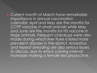 Training report, Livestock Management | PPTX
