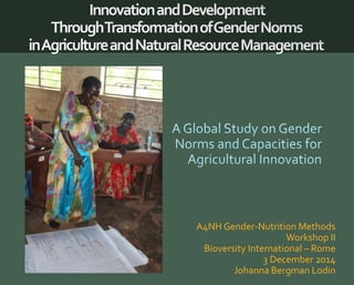 A4NH Gender-Nutrition Methods 
Workshop II 
Bioversity International – Rome 
3 December 2014 
Johanna Bergman Lodin 
 