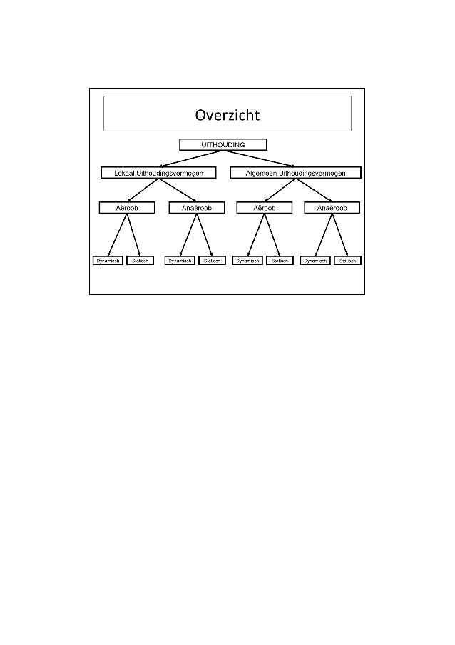 aerobe uithoudingsvermogen