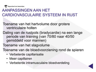 De lactaatcurveTraining kan ook zorgen voor hogere piekNiet iedereen gebruikt dus dezelfde grenzenVerschuiving van de lactaatcurve door trainingBij dezelfde snelheid lagere lactaatwaardeDeze curve is veel steilerhttp://www.sparrenweg.info/superrunner/images/gevorderden2.jpg