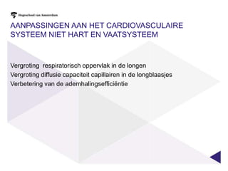 Testen in de praktijk zonder lactaatVIAD testVoordeel NauwkeurigerMakkelijk te organiserenNadeelGevoel voor snelheid vereistProtocol blokken van 800 tot 1200 m lopen met 1’ pauze passief. Beginnen 5 blokken onder VIADhttp://www.sparrenweg.info/superrunner/images/gevorderden3.jpg