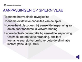 UurtestMAXLASS (Maximale Lactaat Steady State), is de intensiteit die men in wedstrijden 20 minuten tot maximaal 1 uur kan volhouden.Hoe kun je dit vertalen in een test (voorbeeld lopen)Laten we eens een voorbeeld nemen.