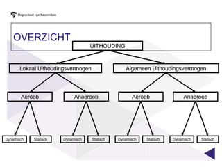 UithoudingsvermogenIs het vermogen om dynamische of statische arbeid zo lang mogelijk vol te houdenOnderscheid naar:Hoeveelheid gebruikte spiermassaEnergievoorzieningAard van de spiercontractie
