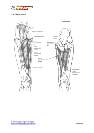 5.44 Oberschenkel




© Trainingsplanung im Radsport
http://www.msporting.com/planung   Seite 112
 