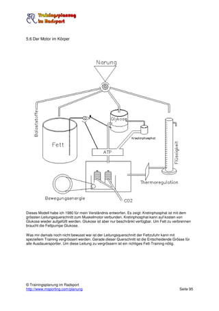 5.6 Der Motor im Körper




Dieses Modell habe ich 1980 für mein Verständnis entworfen. Es zeigt: Kretinphosphat ist mit dem
grössten Leitungsquerschnitt zum Muskelmotor verbunden. Kretinphosphat kann auf kosten von
Glukose wieder aufgefüllt werden. Glukose ist aber nur beschränkt verfügbar. Um Fett zu verbrennen
braucht die Fettpumpe Glukose.

Was mir damals noch nicht bewusst war ist der Leitungsquerschnitt der Fettzufuhr kann mit
speziellem Training vergrössert werden. Gerade dieser Querschnitt ist die Entscheidende Grösse für
alle Ausdauersportler. Um diese Leitung zu vergrössern ist ein richtiges Fett-Training nötig.




© Trainingsplanung im Radsport
http://www.msporting.com/planung                                                           Seite 95
 