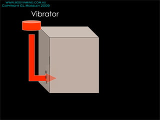 www.bodyinmind.com.au
Copyright GL Moseley 2009


               Vibrator
 