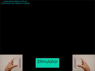 www.bodyinmind.com.au
Copyright GL Moseley 2009




                            Stimulator
 