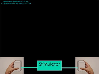 www.bodyinmind.com.au
Copyright GL Moseley 2009




                            Stimulator
 