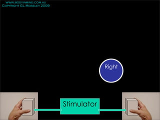 www.bodyinmind.com.au
Copyright GL Moseley 2009




                                         Right




                            Stimulator
 
