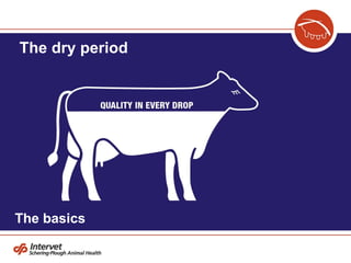 The dry period The basics 
