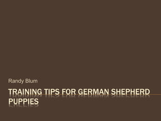 TRAINING TIPS FOR GERMAN SHEPHERD
PUPPIES
Randy Blum
 