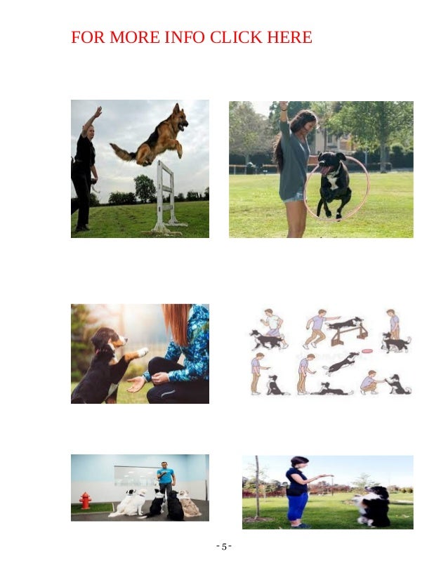 - 5 -
FOR MORE INFO CLICK HERE
 