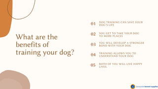What are the
benefits of
training your dog?
01
04
02
05
DOG TRAINING CAN SAVE YOUR
DOG’S LIFE
YOU GET TO TAKE YOUR DOG
TO MORE PLACES
YOU WILL DEVELOP A STRONGER
BOND WITH YOUR DOG
TRAINING ALLOWS YOU TO
UNDERSTAND YOUR DOG
BOTH OF YOU WILL LIVE HAPPY
LIVES.
03
 