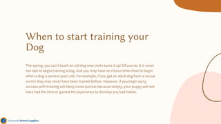 When to start training your
Dog
The saying, you can’t teach an old dog new tricks sums it up! Of course, it is never
too late to begin training a dog. And you may have no choice other than to begin
when a dog is several years old. For example, if you get an adult dog from a rescue
centre they may never have been trained before. However, if you begin early,
success with training will likely come quicker because simply, your puppy will not
have had the time or gained the experience to develop any bad habits.
 