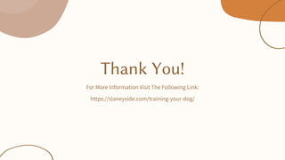 Thank You!
For More Information Visit The Following Link:
https://slaneyside.com/training-your-dog/
 