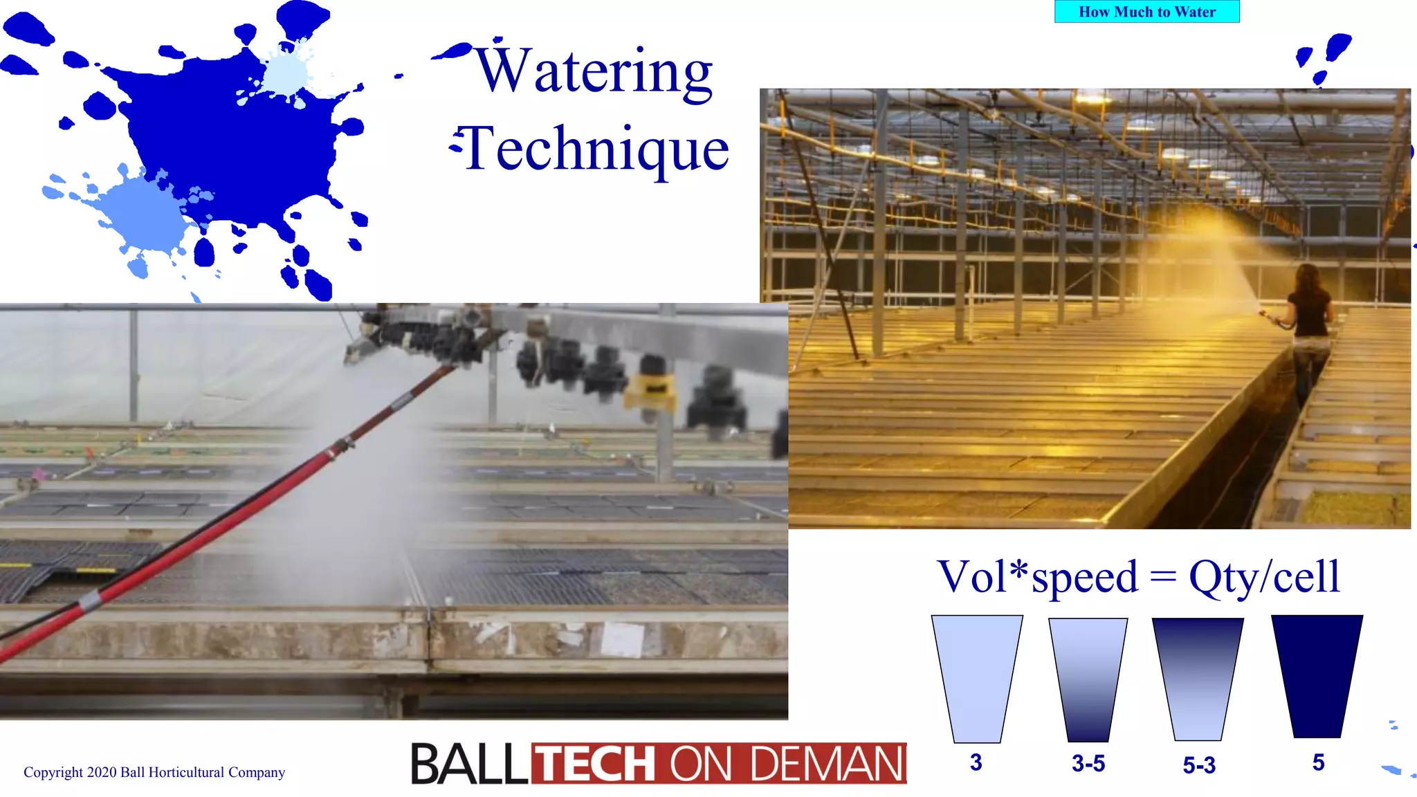 Copyright 2020 Ball Horticultural Company
Watering
Technique
Vol*speed = Qty/cell
3 5-33-5 5
 