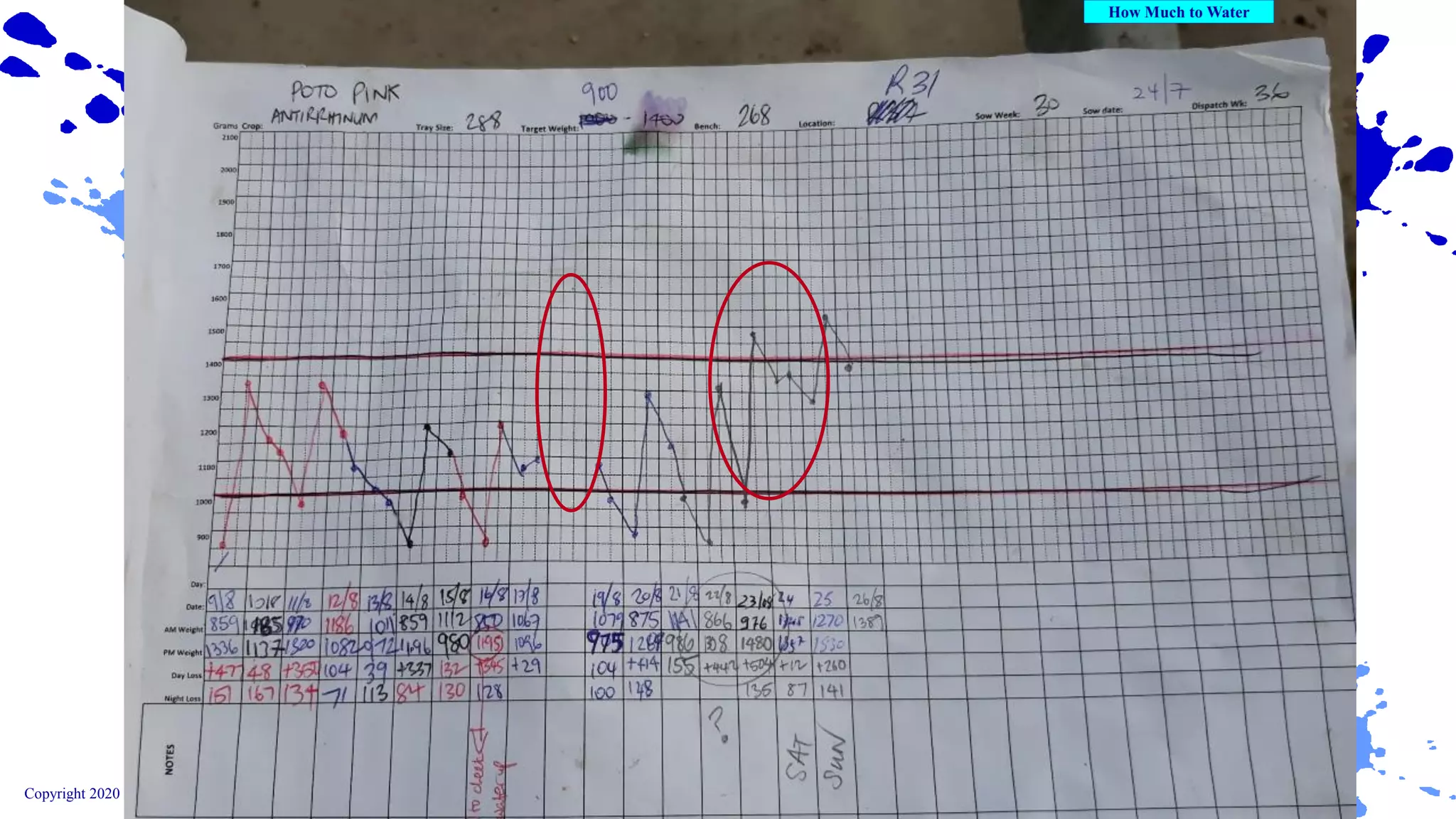 Copyright 2020 Ball Horticultural Company
 