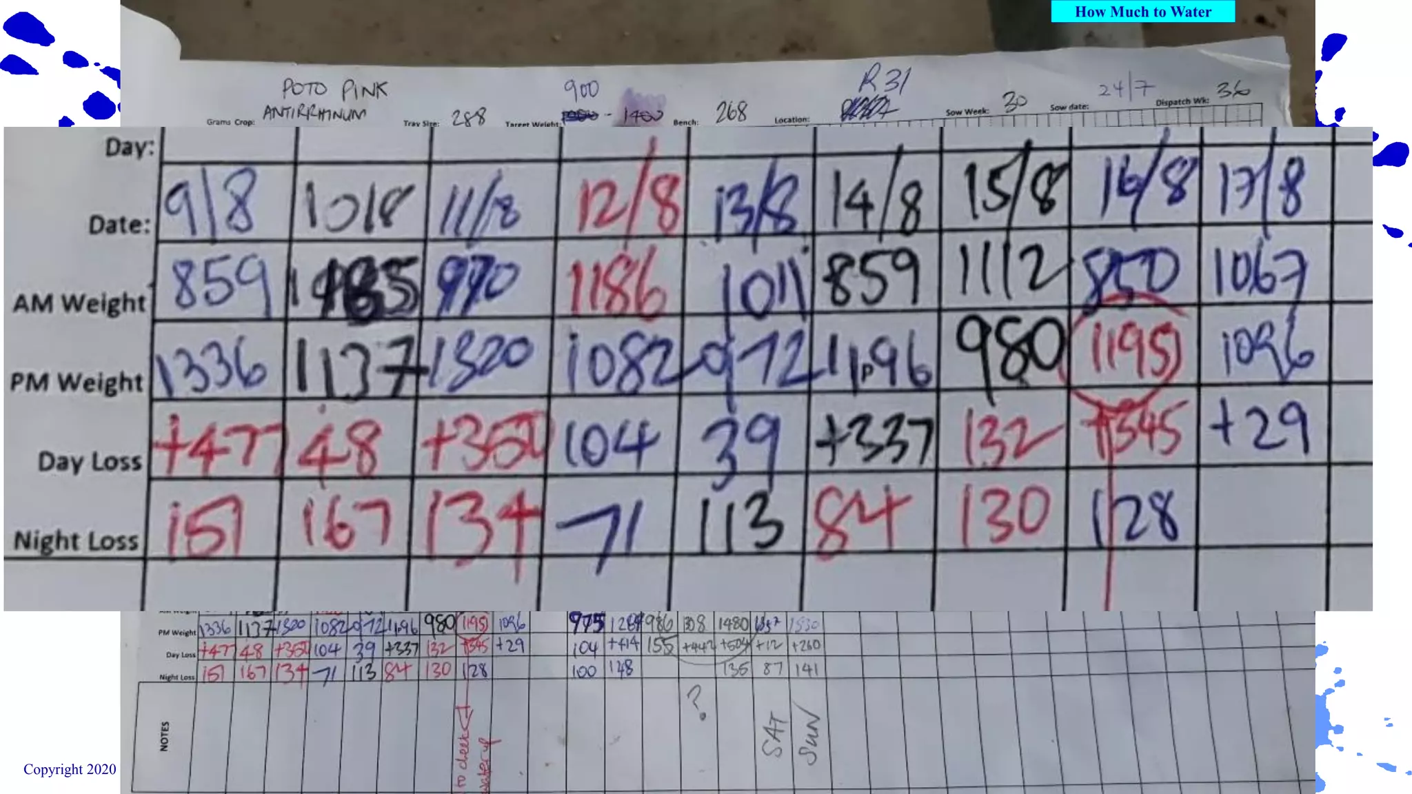 Copyright 2020 Ball Horticultural Company
 