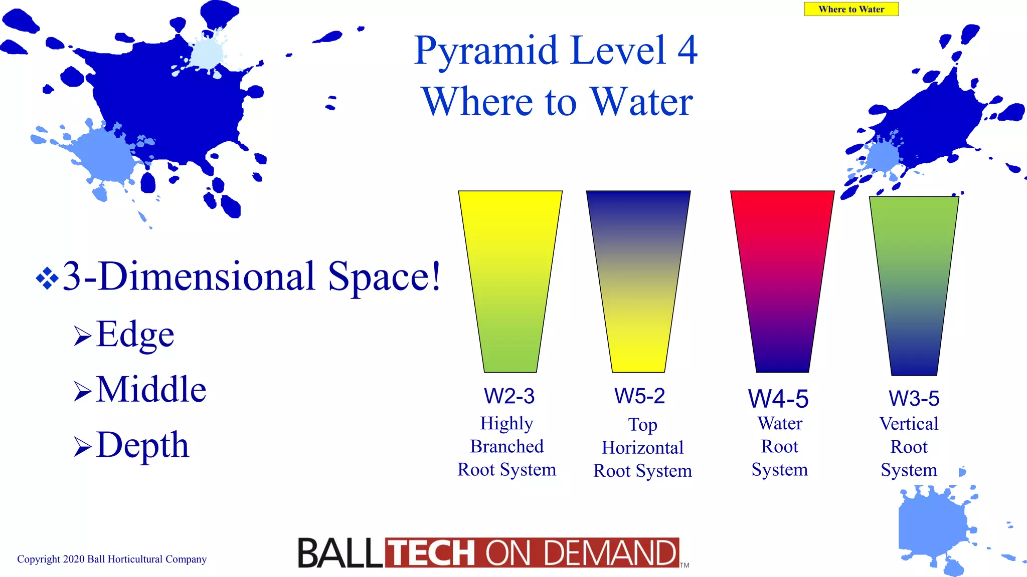 Copyright 2020 Ball Horticultural Company
Pyramid Level 4
Where to Water
❖3-Dimensional Space!
➢Edge
➢Middle
➢Depth
W2-3 W5-2 W3-5W4-5
Highly
Branched
Root System
Top
Horizontal
Root System
Water
Root
System
Vertical
Root
System
 