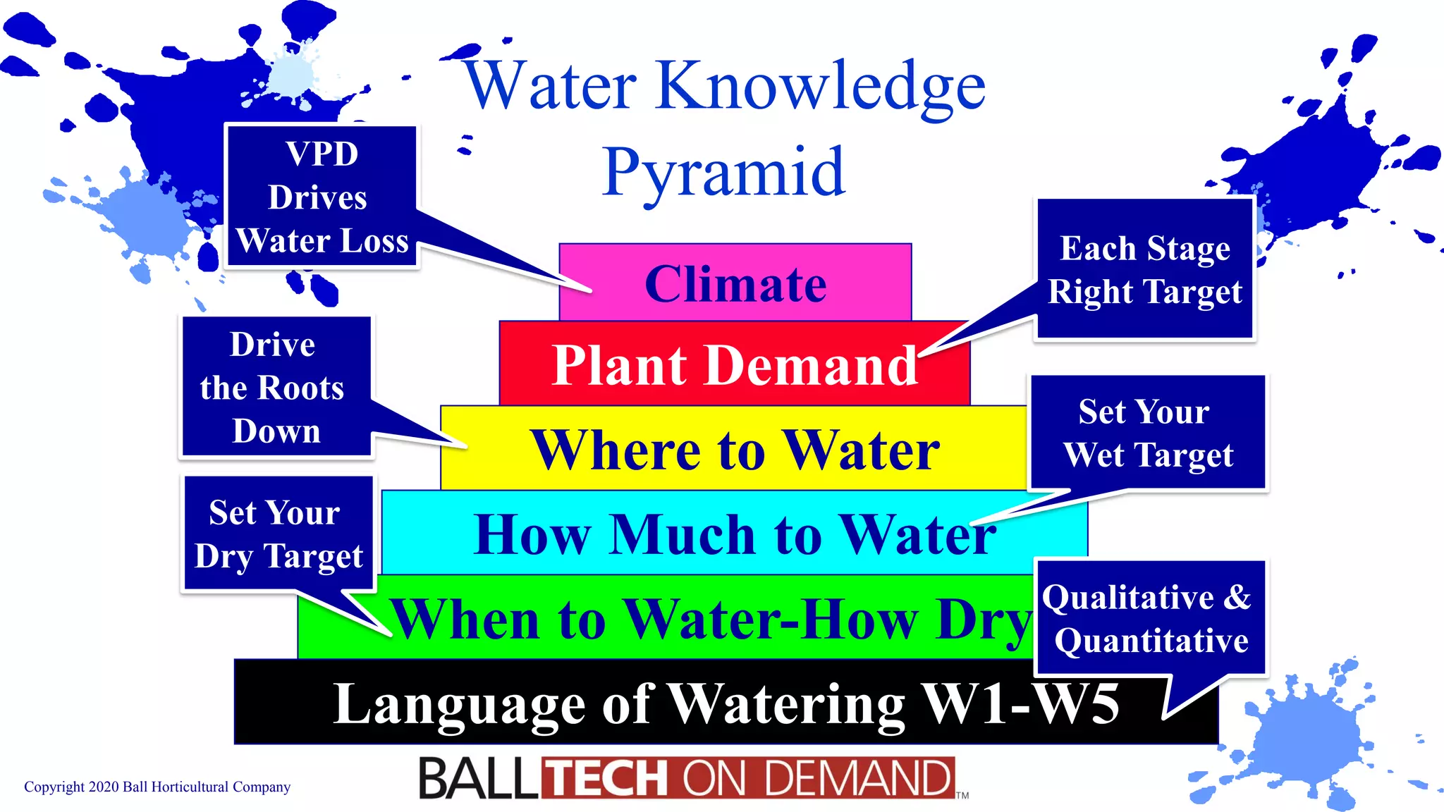 Copyright 2020 Ball Horticultural Company
Water Knowledge
Pyramid
When to Water-How Dry?
How Much to Water
Where to Water
Plant Demand
Language of Watering W1-W5
Climate
Qualitative &
Quantitative
Set Your
Dry Target
Set Your
Wet Target
Drive
the Roots
Down
VPD
Drives
Water Loss Each Stage
Right Target
 
