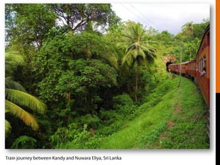 Train journey, Sri Lanka, Photo by Viktor Predan