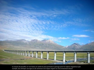 La mesure du possible, la voie ferrée est surélevée pour permettre le passage pour les espèces migratrices (par
exemple, des antilopes sauvages) et de minimiser tout impact négatif sur l'environnement naturel.
 