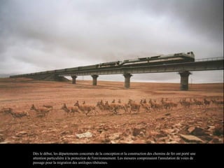 Dès le début, les départements concernés de la conception et la construction des chemins de fer ont porté une
attention particulière à la protection de l'environnement. Les mesures comprenaient l'annulation de voies de
passage pour la migration des antilopes tibétaines.
 