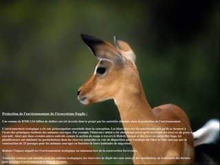 Protection de l'environnement de l'écosystème fragile :
Une somme de RMB 2,54 billion de dollars ont été investis dans le projet par les autorités chinoises dans la protection de l'environnement.
L'environnement écologique a été une préoccupation essentielle dans la conception. Les itinéraires ont été sélectionnés afin qu'ils se tiennent à
l'écart des principaux habitats des animaux sauvages. Par exemple, l'itinéraire initial a été abandonné parce qu'il traversait les réserves de grues à
cou noir. Alors que dans certains autres endroits comme la section de coupe à travers le Hohxil, Qumar et des réserves naturelles Soga, les
planificateurs ont minimisé les perturbations dans les réserves naturelles en voie de disparition pour l'antilope du Tibet et l'âne sauvage par la
construction de 25 passages pour les animaux sauvages en fonction de leurs habitudes de migration.
Réduire l'impact négatif sur l'environnement écologique au minimum lors de la construction ferroviaire.
Toutes les voitures sont installés avec des toilettes écologiques, les réservoirs de dépôt des eaux usées et des installations de traitement des déchets
pour protéger l'environnement le long de la route.
 