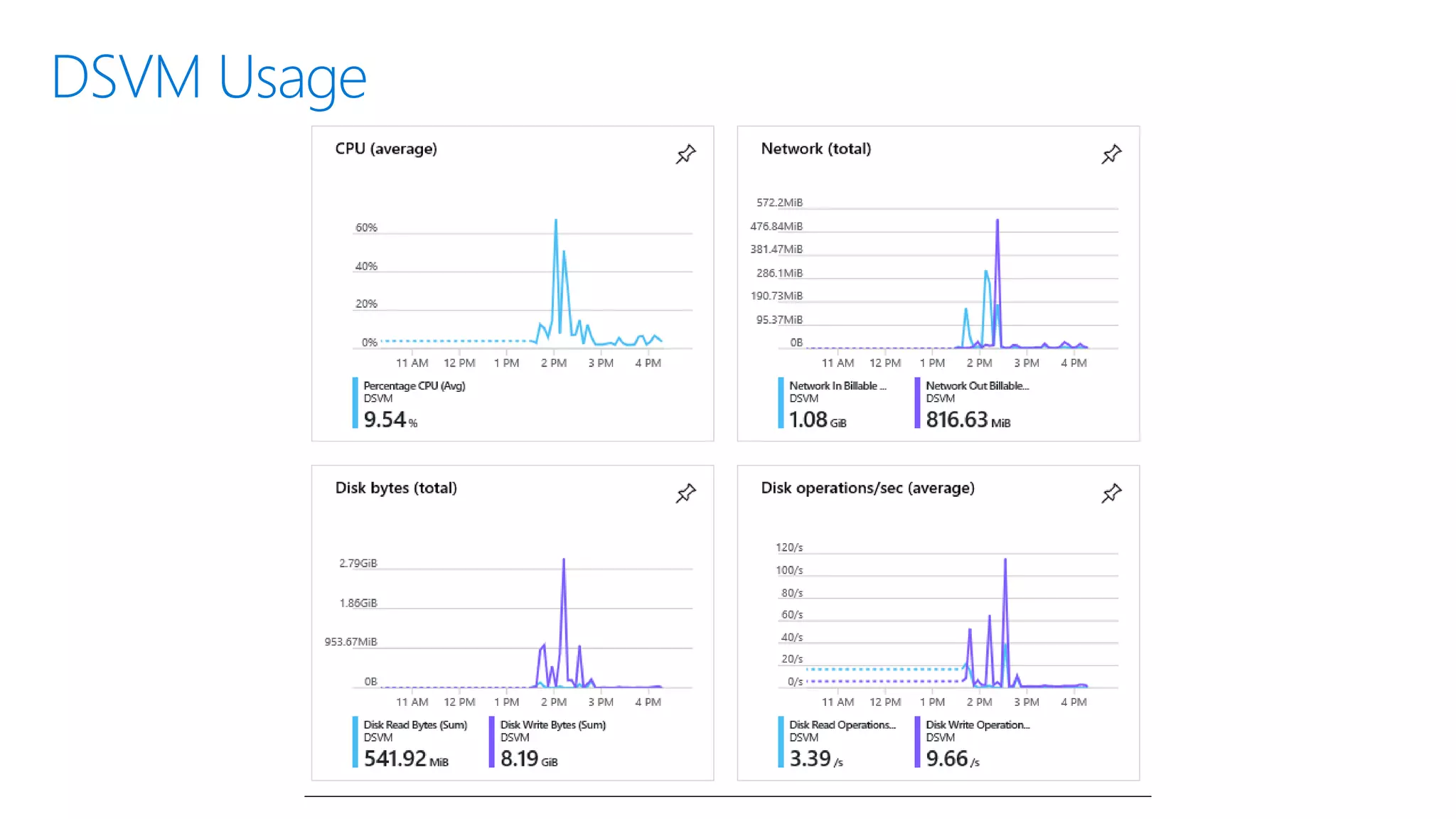 DSVM Usage
 