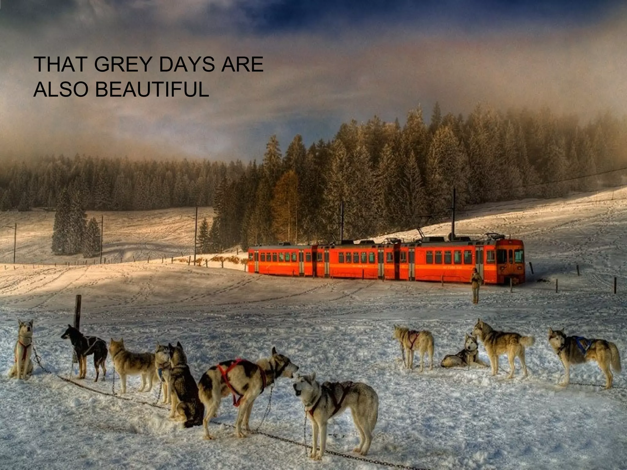 THAT GREY DAYS ARE
ALSO BEAUTIFUL