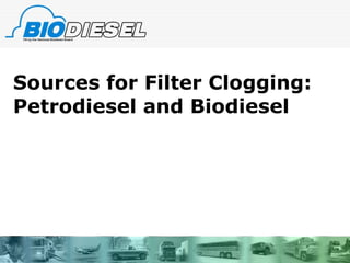 Sources for Filter Clogging: Petrodiesel and Biodiesel 