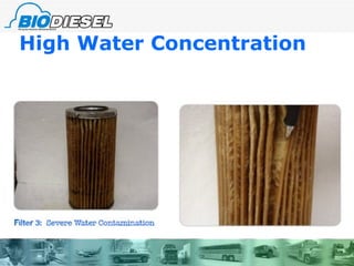 High Water Concentration 